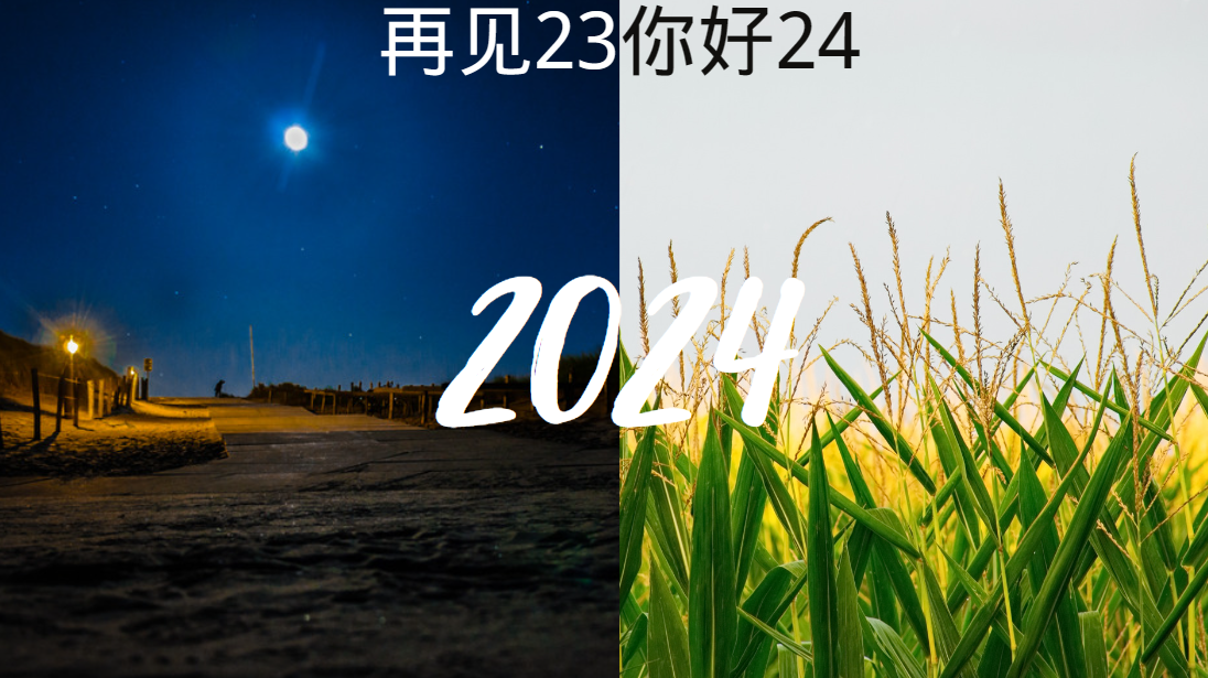 2023小结